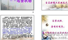 初一写景作文：夏天来了_600字