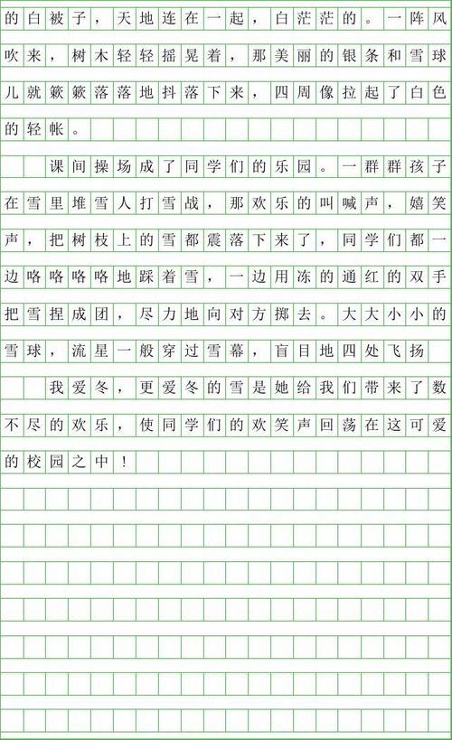 关于雪境的作文：雪梅_500字