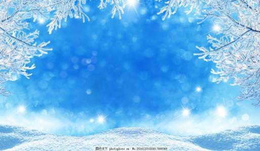 关于雪景的组成：雪花，你哭了1000字