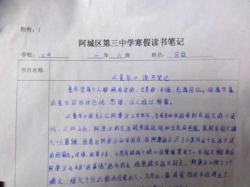假期体验300字
