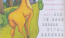 小鹿斑比读后感