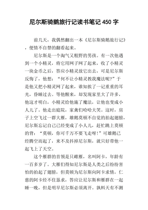 阅读经验_450字