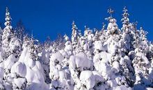 关于雪景的作文：那年冬天，好大雪_2000字