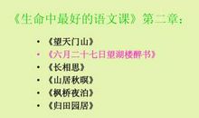 读《生命，生命》有感