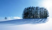 关于雪景的作文：雪，印在心头_550字