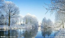 关于雪景的作文：冬天的雪_550字