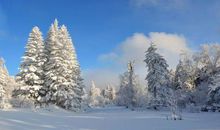 关于雪景的作文：洁白的雪_700字