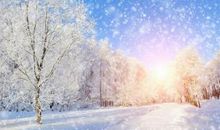 关于雪景的作文：寒冬暮雪_550字