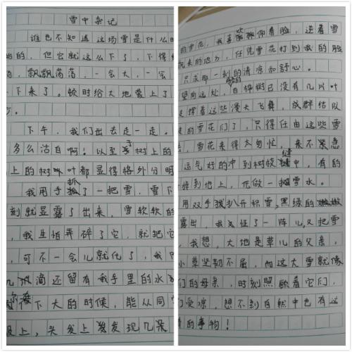 关于雪景的构成：Snow_650字初