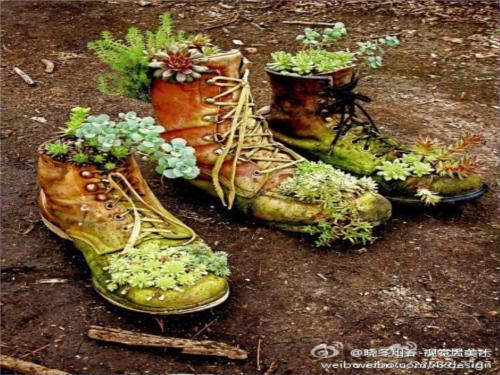 看图片组成变废为宝_350字