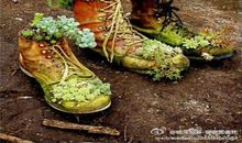 看图作文变废为宝_350字