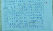 想象作文：第四次龟兔赛跑