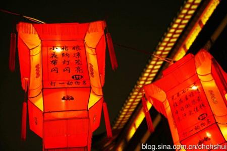 小女孩，享受凉爽的夜晚。带上灯笼并发光（为动物起个名字）