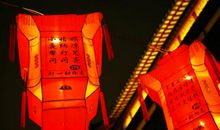 小姑娘，夜纳凉。带灯笼，闪闪亮（打一动物名）