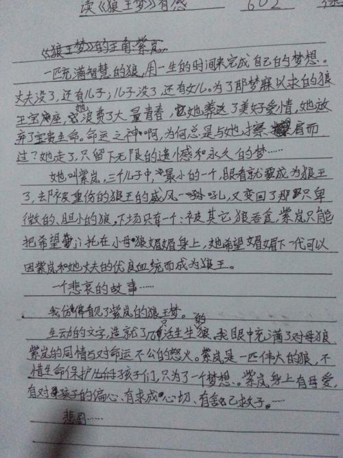 关于阅读《狼王的梦》的思考