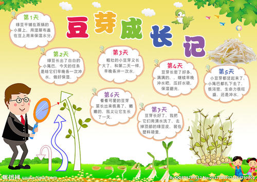 观察植物生长的日记