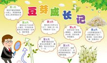 观察植物生长过程日记