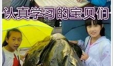 百元大钞会轻功