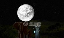 月光下的村庄铁蛋