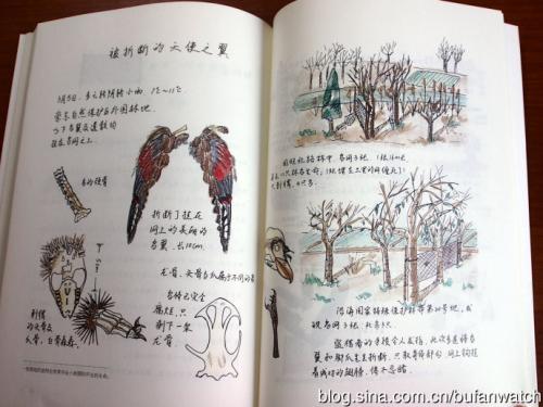充满诗意的生活
