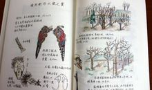 生命的诗情读后感