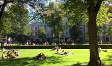 游阳光公园 _550字