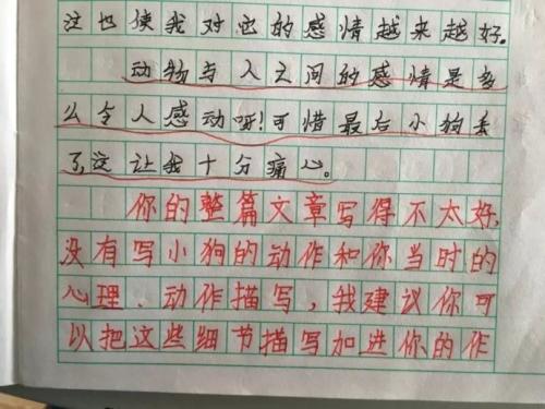 三年级诗歌作文：青春不能写_150字