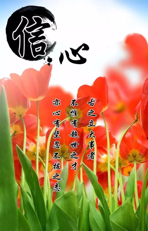 花_900字