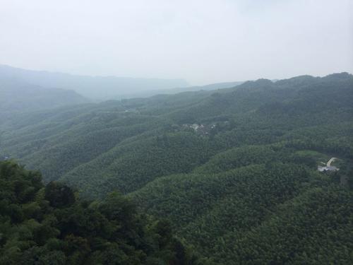 [2013夏季随笔]南舜竹海之旅_1200字