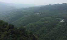 [2013暑期征文]蜀南竹海之旅_1200字