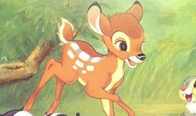 《小鹿斑比》观后感