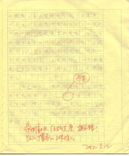 母亲节作文：母亲节700字