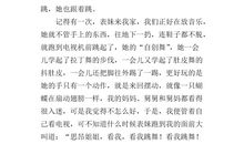 [2013暑期征文]我的表妹_400字