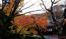 不再回望走过的路_1200字