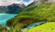 观《大自然在说话》有感