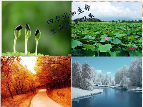 我的四个季节校园