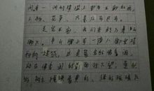 东花园导游词_400字