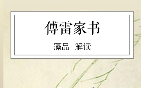 爱在你身后20米