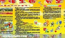 珍惜生命，注意安全_600字