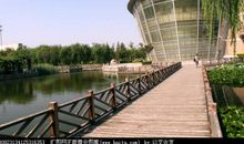 美丽的校园_450字