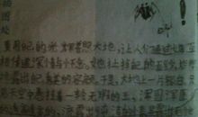 失去的寒假_1200字