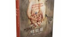 《蜻蜓眼》读后感