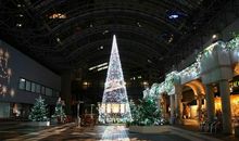 圣诞节英语作文：圣诞节夜景_1500字