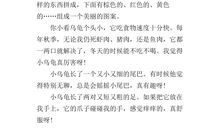 小乌龟观察日记