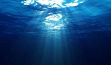 选择有风浪的海洋_100字