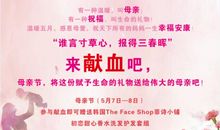 谢谢你，我的母亲_800字