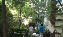 校园里的小花园