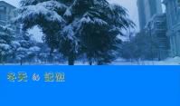 冬天的记忆