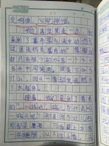 四年级小学作文夏天的雨