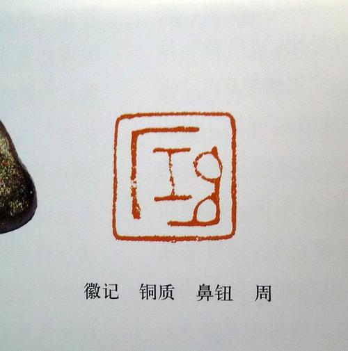 眼睛的指责_1200字